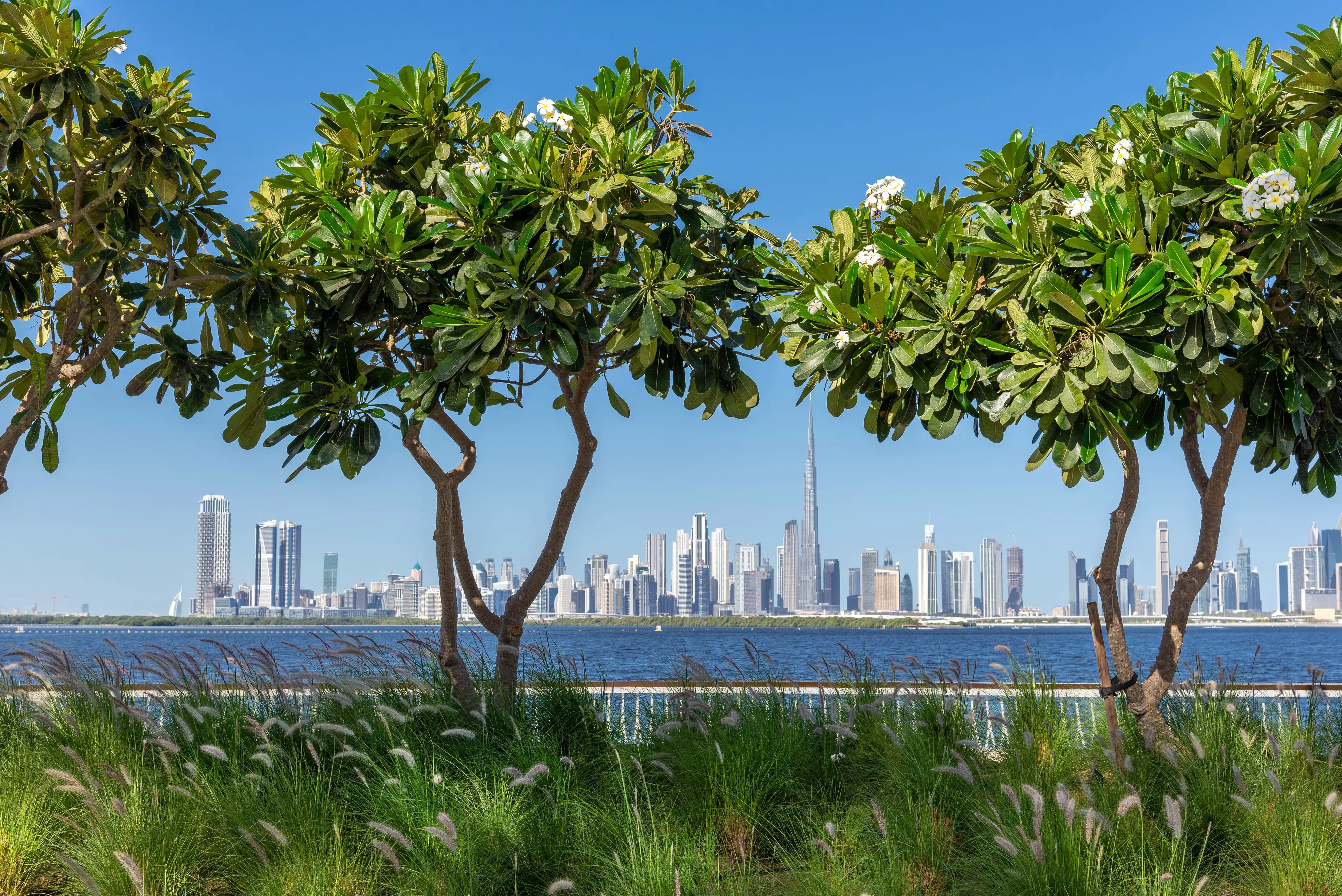 Dubai Healthcare City (DHCC)